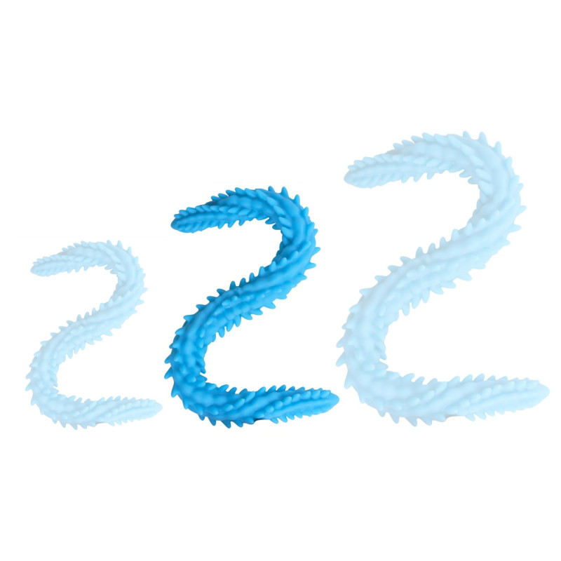 DoublePlayz Double Gode Scolop M 50 x 4cm Bleu